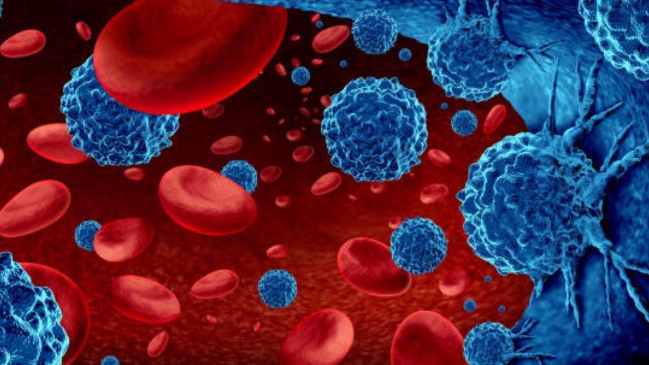 Blood cancer cases on the rise among young adults in India: Experts