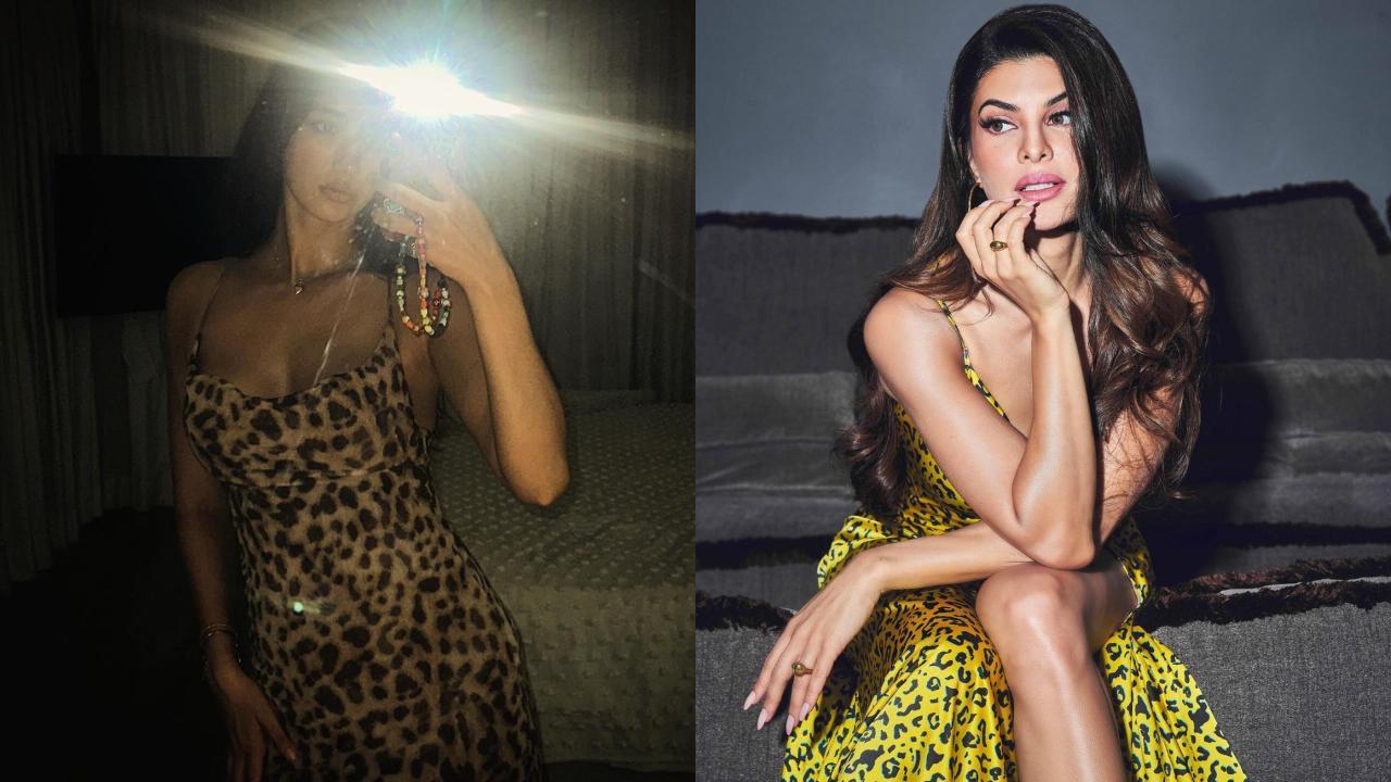 In Pics: Disha Patani to Jacqueline Fernandez, B-town actresses in leopard print