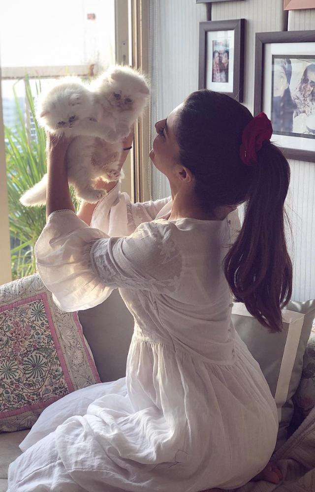 Jacqueline Fernandez is a proud cat mom to four adorable felines - Yoda, Loki, Miumiu, and Xyza.