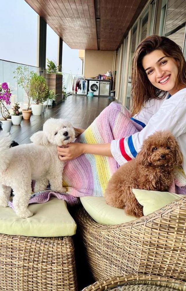 Kriti Sanon`s affection for her two dogs, Phoebe and Disco, knows no bounds. 