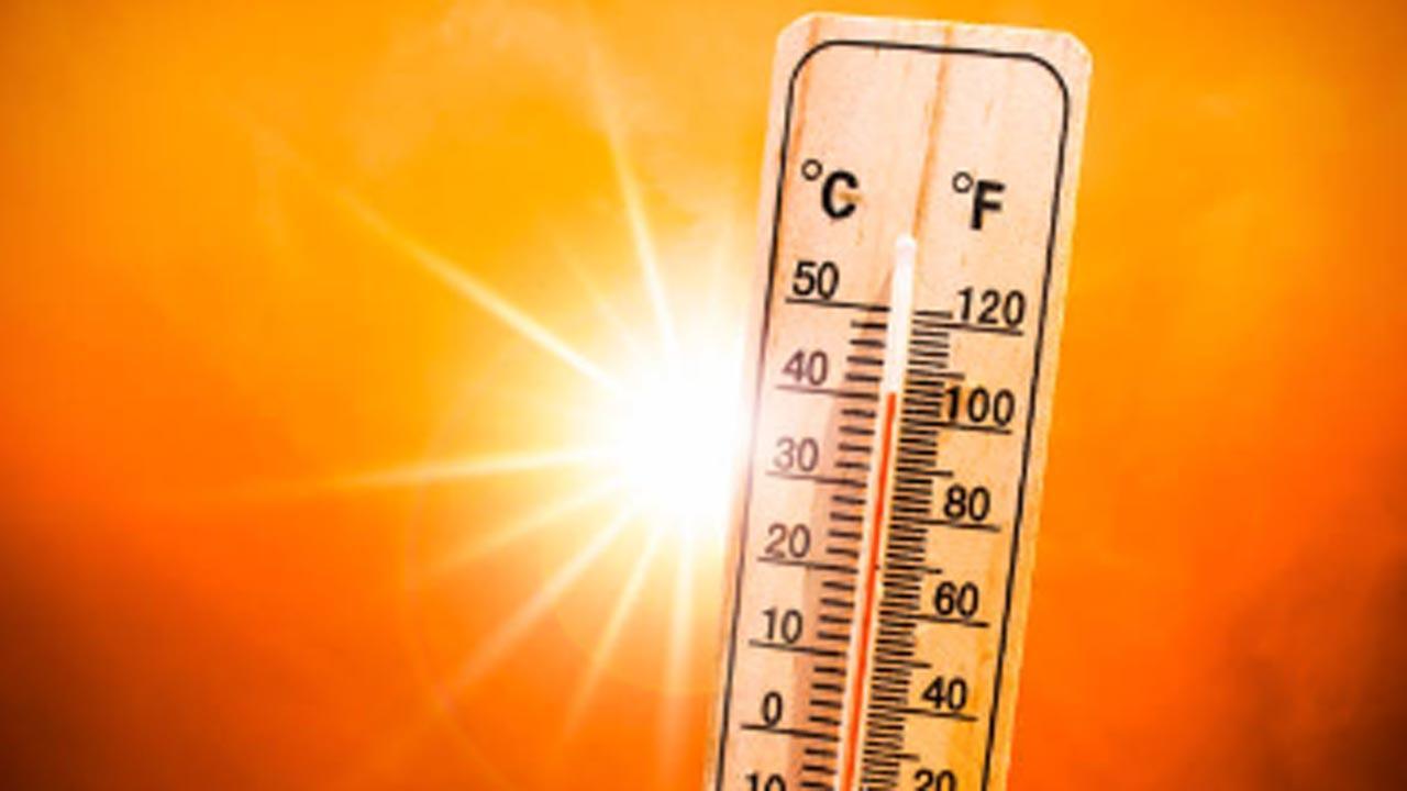 Intense heat wave sweeps Haryana, Punjab; Mahendragarh sizzles at 47 degrees
