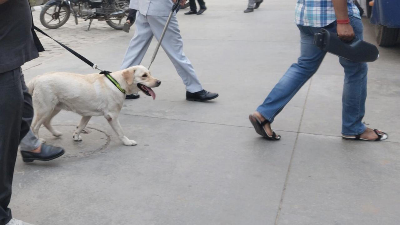 Sanjay Gandhi Hospital also received a threat email around 3 pm, according to officials