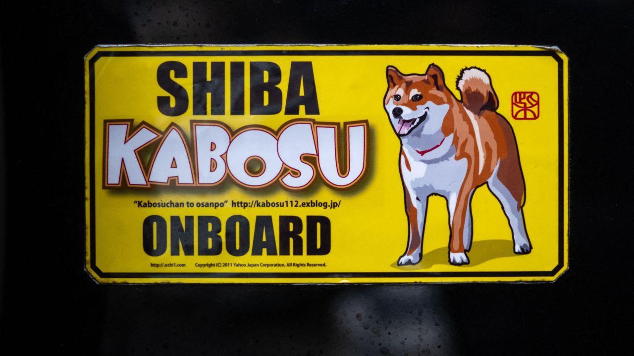 Kabosu, the viral Shiba Inu dog behind doge meme, passes away