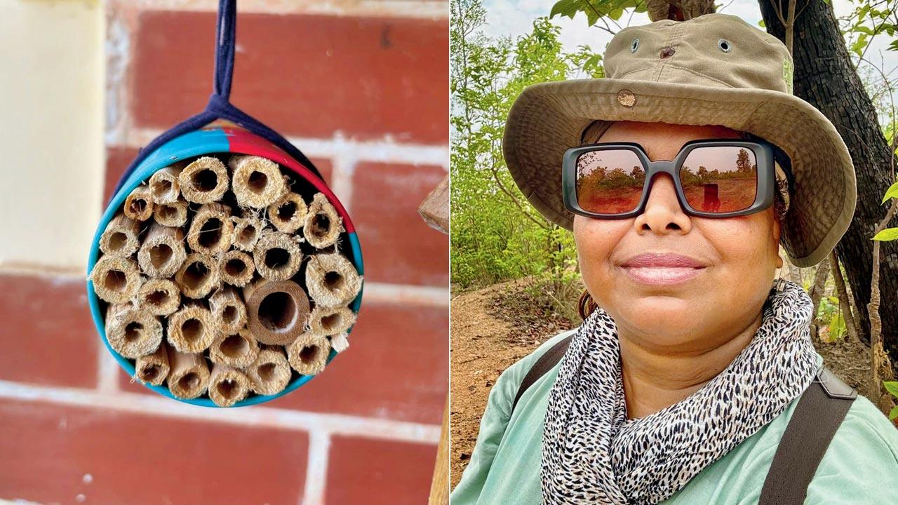 Handmade home for bees; (right)  Dr V Shubhalaxmi