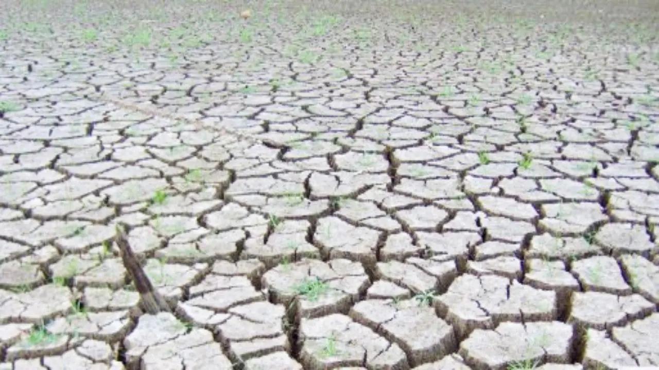 Congress leaders to visit areas facing severe drought conditions in Maharashtra