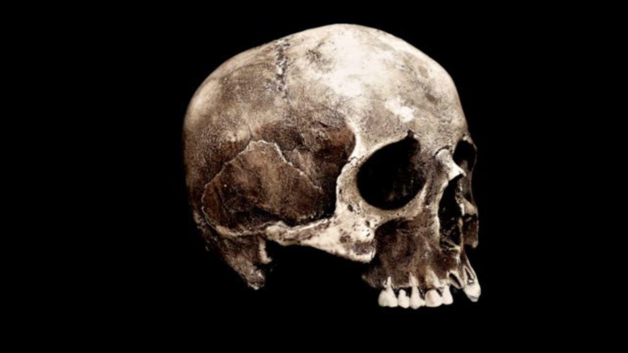 An international team of researchers studied two human skulls -- male and female and each thousands of years old. 
