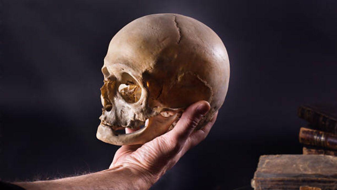 Microscopic observation of skull 236 showed a big-sized lesion consistent with excessive tissue destruction, known as neoplasm. Further, there were also 30 or so small and round metastasised lesions scattered across the skull, with cut marks probably made by a sharp object such as a metal instrument.