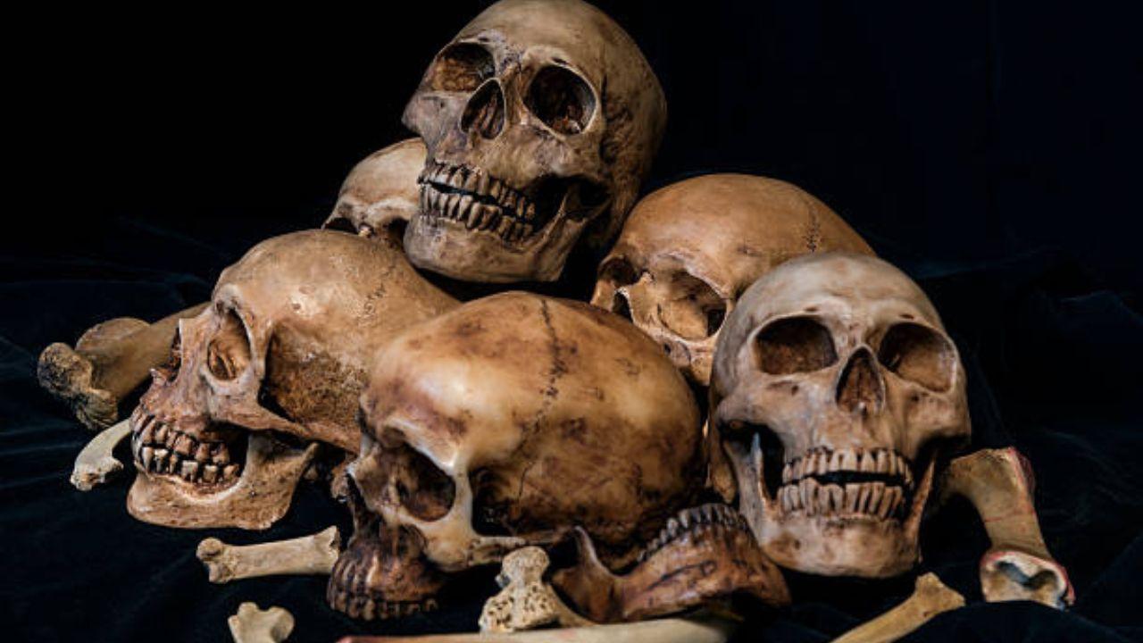 Analysis of Skull E270 also showed a big lesion consistent with a cancerous tumour that led to bone destruction, and two lesions from traumatic injuries that received treatment.