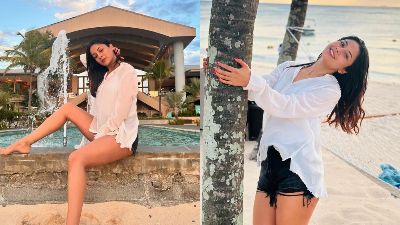 Watch: Shehnaaz Gill grooves to ‘Aye udi udi’ as she holidays in Mauritius