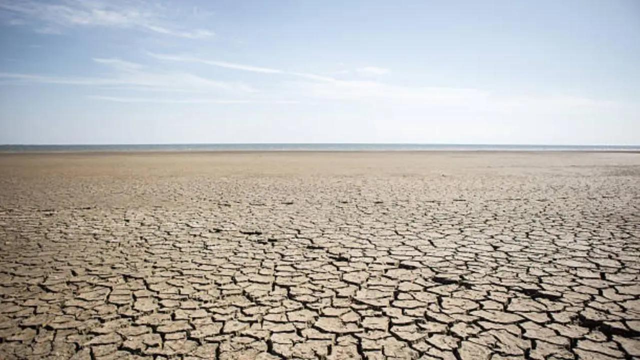 Top Mumbai stories of week: City to see water cut; Maha govt stares at drought