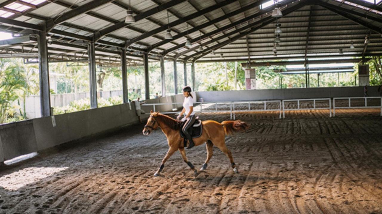 Equestrian Estates: The Luxurious Blend of Real Estate and Horse-Riding Facilities Featuring Sourabh Chandrakar
