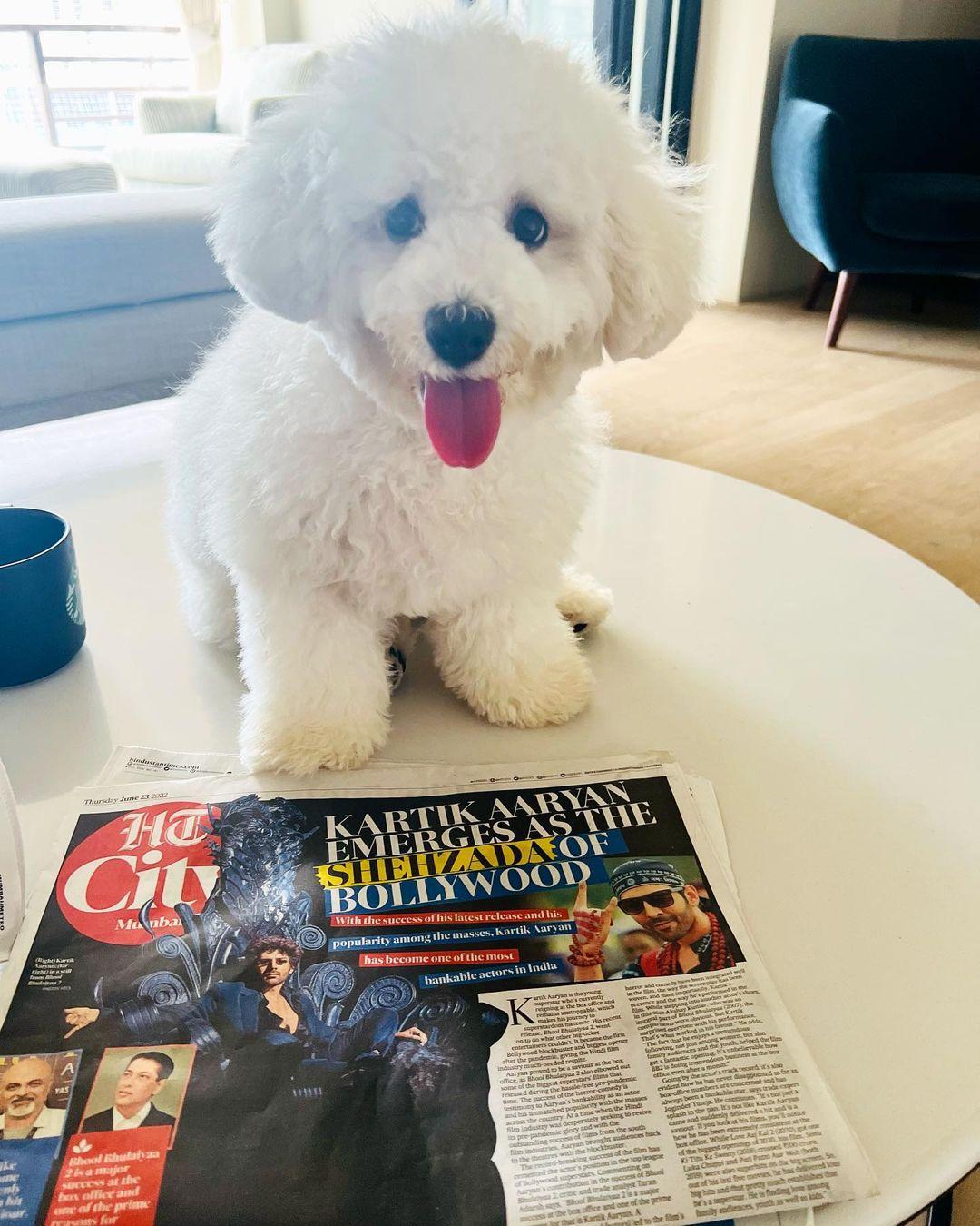 It has been about two years since Kartik Aaryan welcomed his pet friend Katori