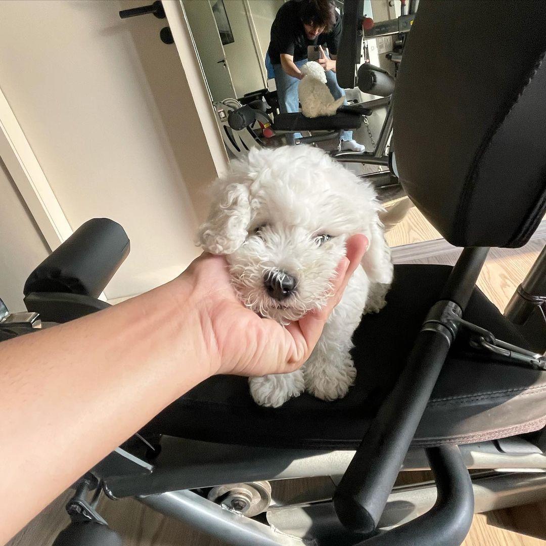 Since Katori came into Kartik's life, the actor hasn't missed a chance to post cute pictures of his friend