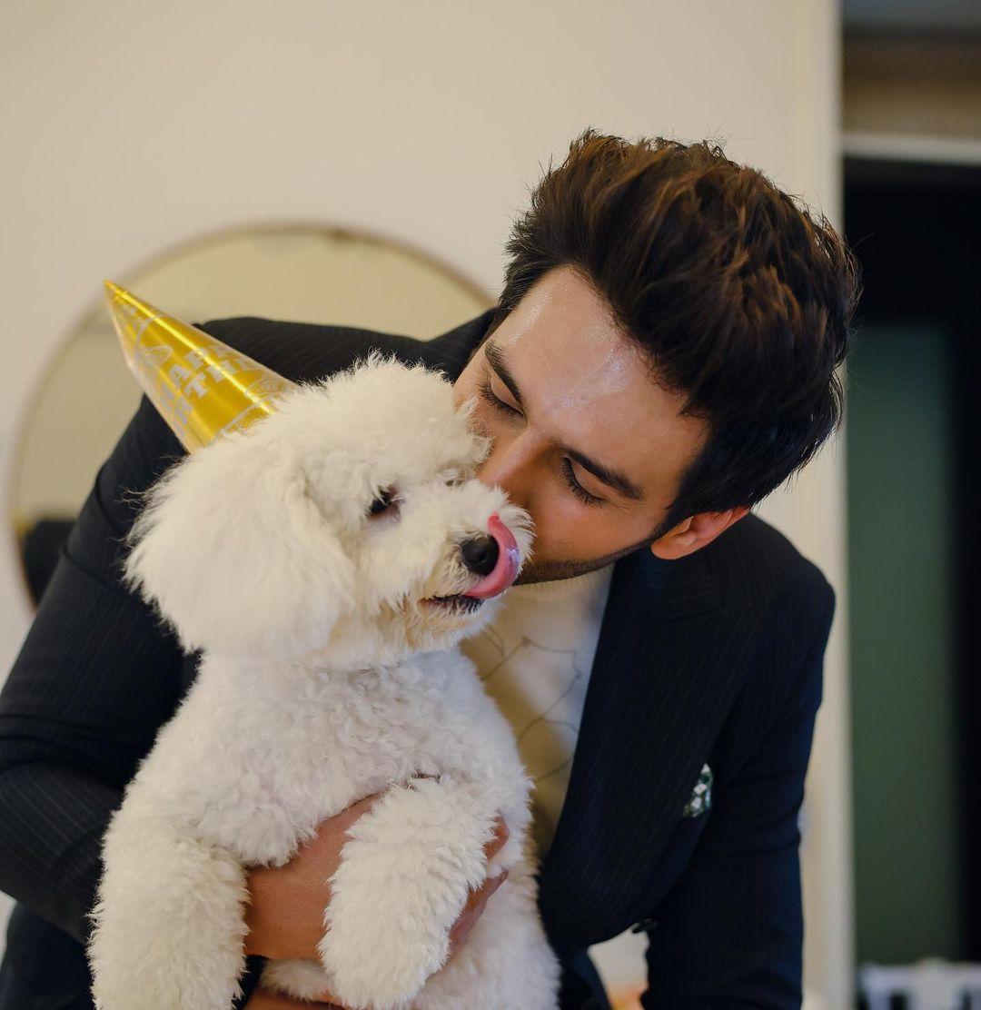 This picture is from Katori's birthday celebration. The cute dog looks super cute as she wears a golden cap
