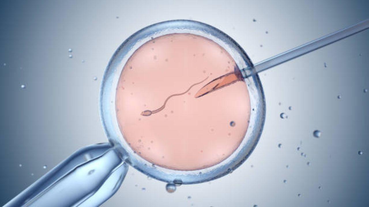 Another option is undergoing IUI (Intrauterine insemination) procedure; it is a less complicated procedure where the sperm is directly injected into the uterus to increase the chances of getting pregnant. IUI is typically considered for a couple where a female partner has a higher fertility rate and a male partner deals with the issue of low sperm count. 