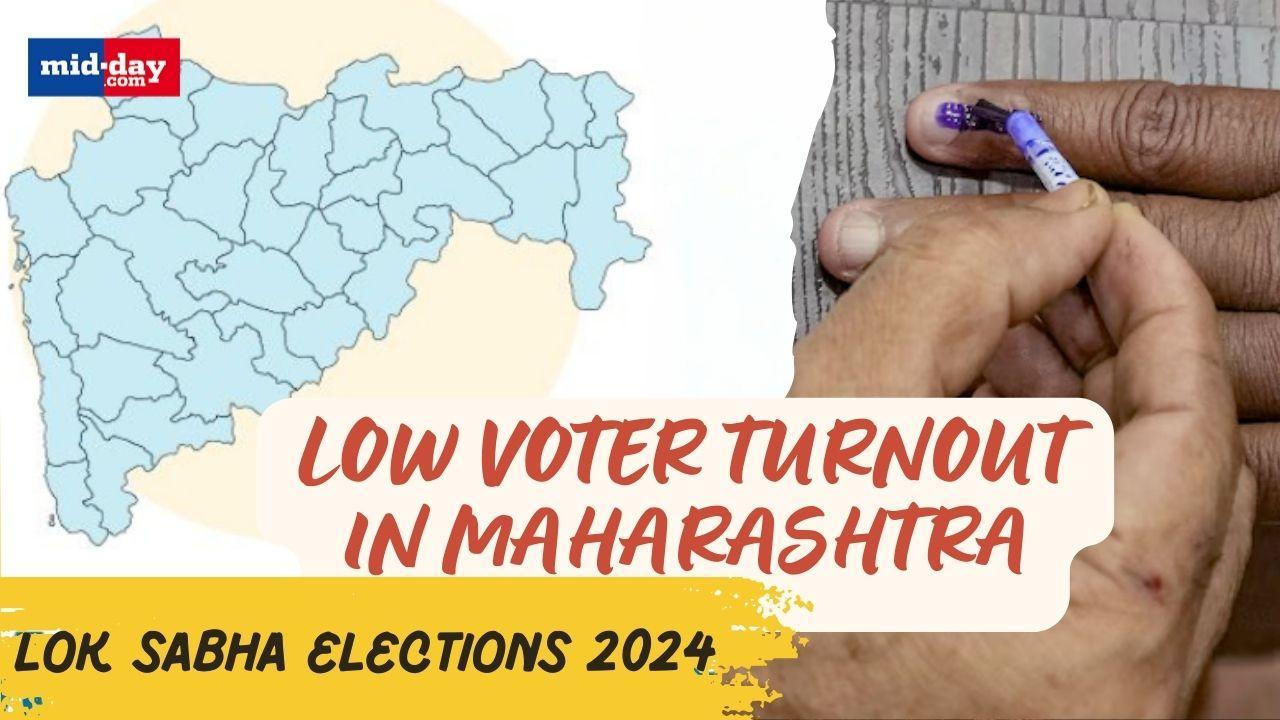 Lok Sabha Elections 2024, Phase 5: Maharashtra Witnesses 48.66% Voter Turnout