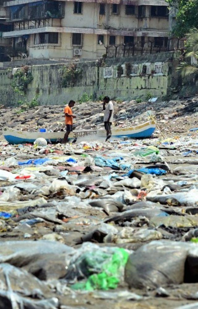 The presence of such a large quantity of garbage on the beach poses a grave threat to marine life.