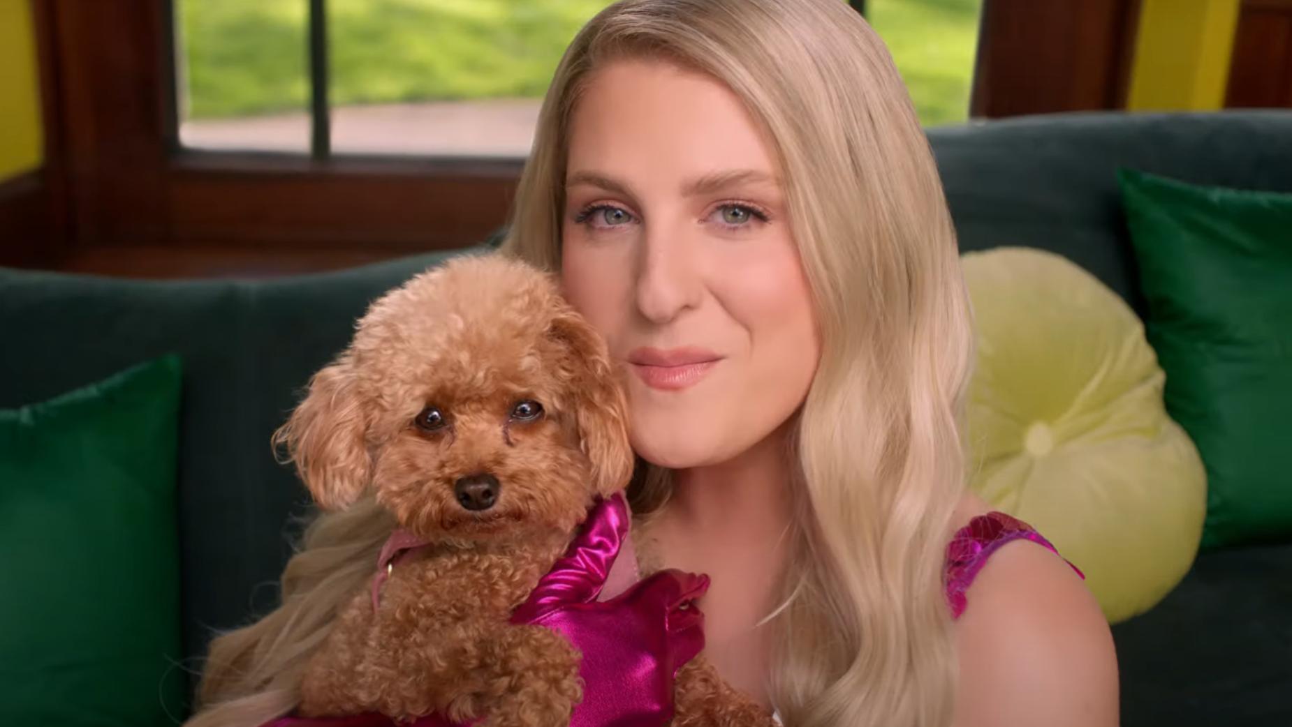 Meghan Trainor is actually a mom not only to her two children but to four dogs