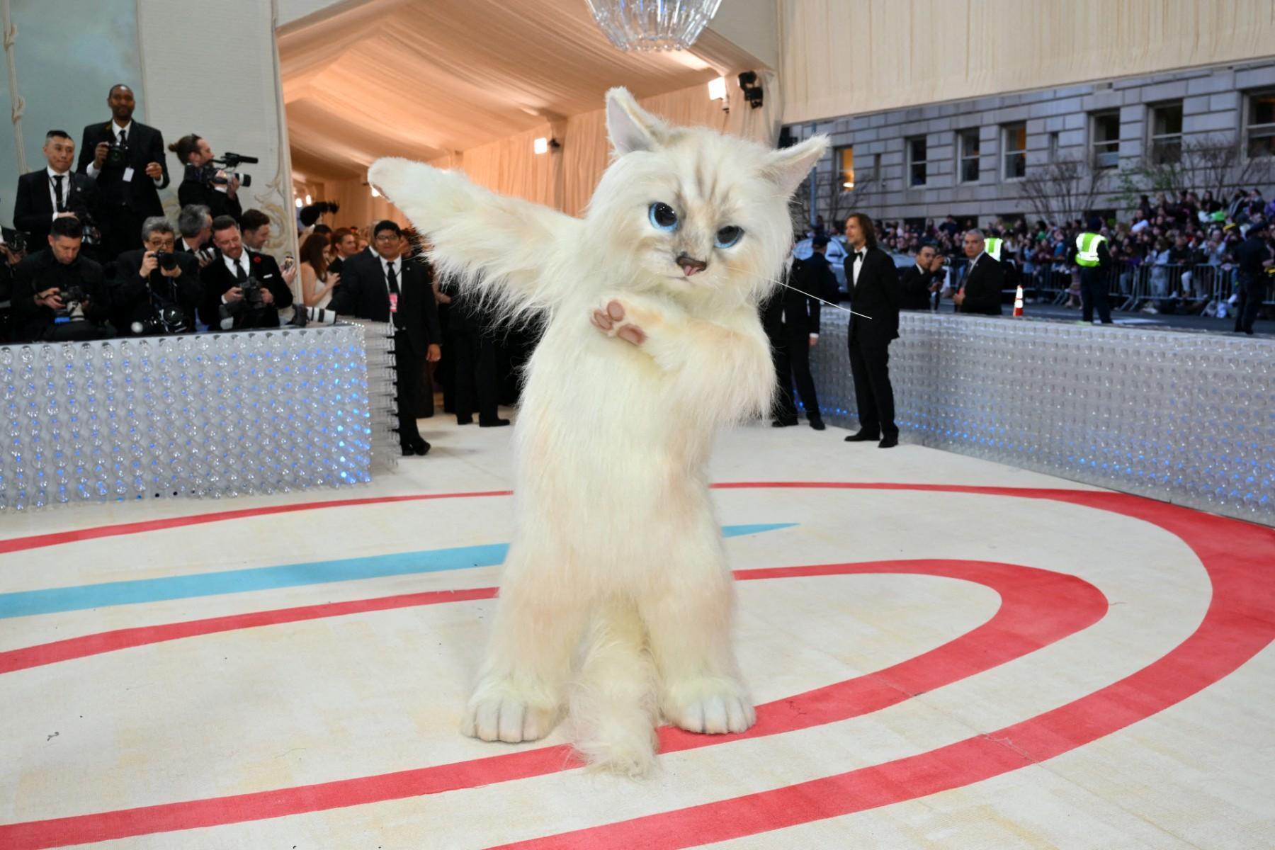 At the 2023 Met Gala, Jared Leto donned a gigantic cat costume complete with plush paws, whiskers, and hyper-realistic blue eyes, stealing the show.