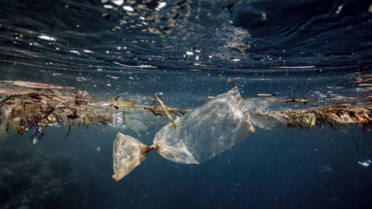 Reducing plastic pollution by 5 per cent yearly may stabilise ocean microplastic
