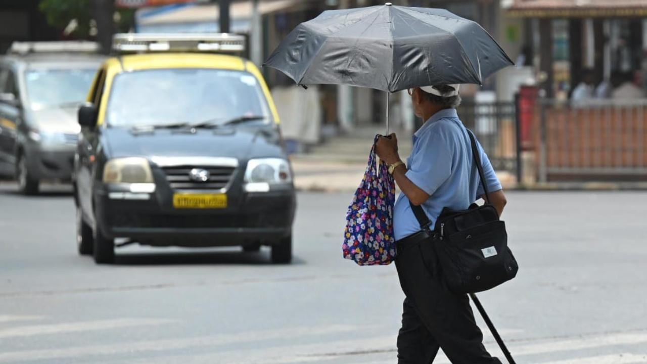 Various areas of Thane district, including Kalyan, Ambernath, Diva, and Mumbra, experienced heavy showers, while the eastern suburbs of Mumbai saw light drizzles last week on Monday