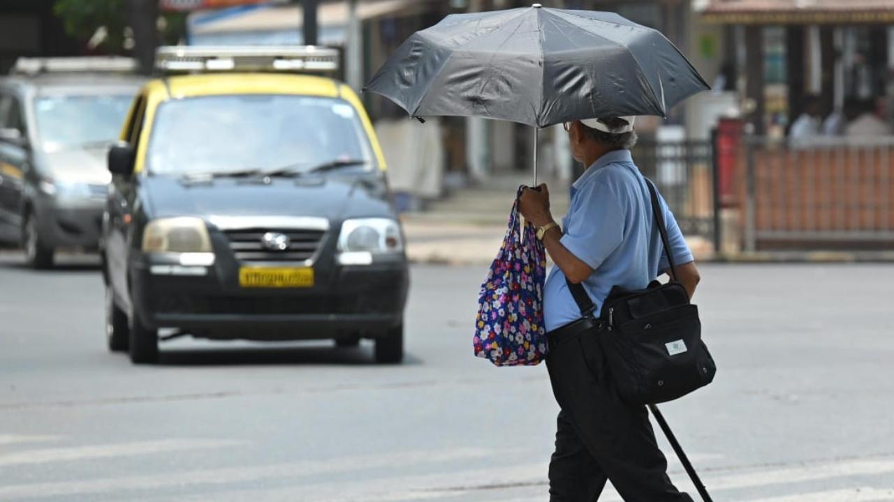 Maharashtra Weather: Parts of state see temperatures above 40 degrees Celsius