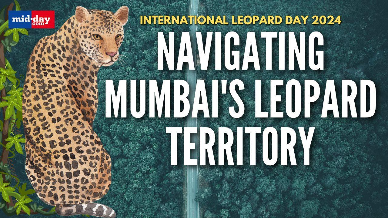 International Leopard Day 2024: Navigating Mumbai's Leopards' adventurous trails