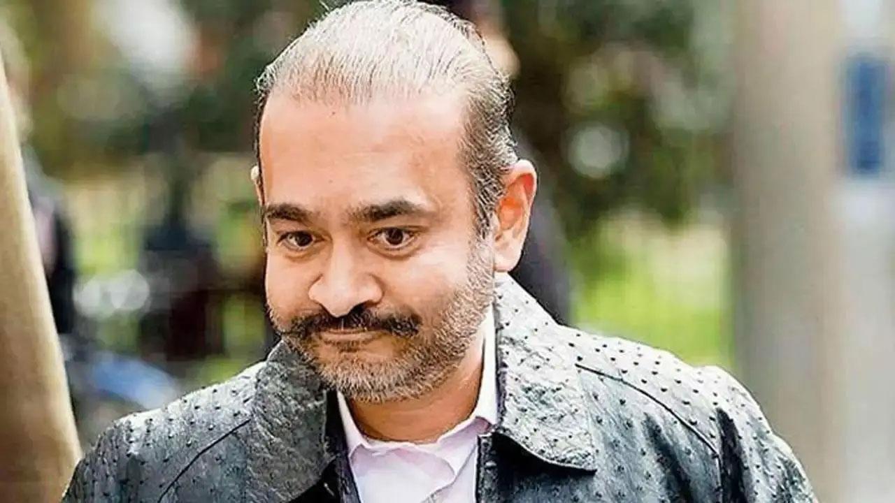 UK court rejects Nirav's fresh bail plea due to 'real, substantial' flight risk