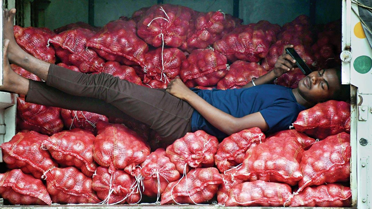 Lok Sabha Elections 2024: Onion wars rage between the govt and farmers in Nashik