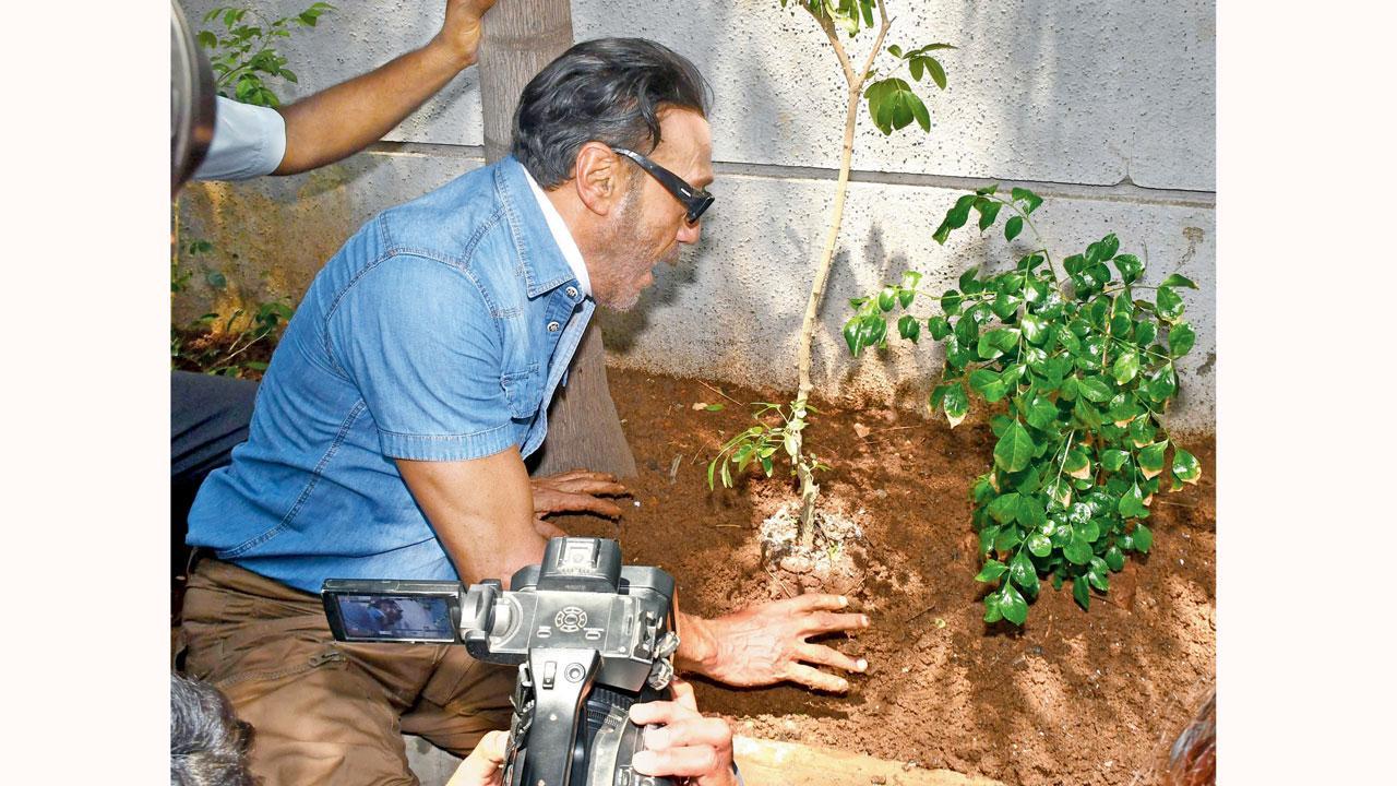 Up and about: Badh raha hai, Bhai?