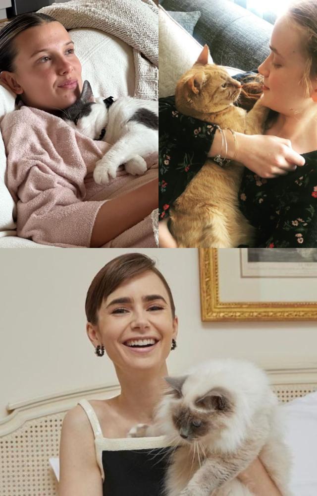 Purrfect Pawrenting moments!