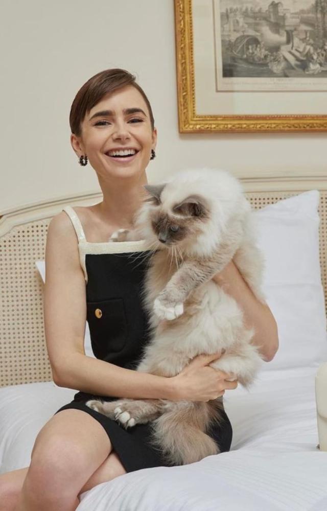 Emily in Paris star Lilly Collins poses with her pet feline