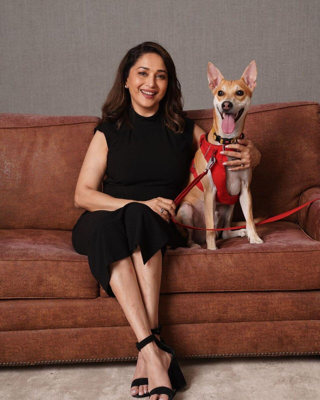 Madhuri Dixit and her husband Dr Shriram Nene are also advocated of adopting strays. They named their dog Caramello