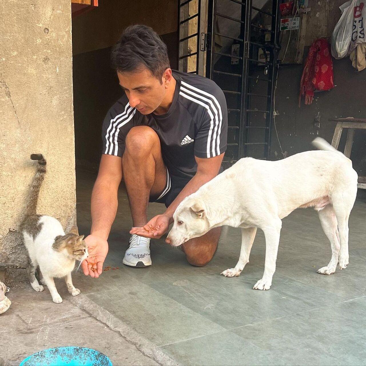 Being an animal lover, Sood has always urged people to adopt stray dogs. “If we show love to animals, they will always reciprocate with love. I tell people to adopt; don’t shop,” says the actor, who is often seen petting and feeding cats and dogs in public places.Practicing what he preaches, Sood’s son recently adopted an abandoned Indie puppy. He shares, “Ayaan adopted an Indie puppy [now called Naruto] last year when he was in Alibaug. When he realised Naruto was a motherless, abandoned stray puppy, living on the streets and fending for himself, he decided to bring him home to Mumbai.”