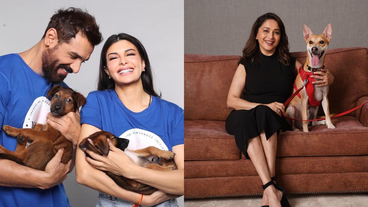 In Pics: From John Abraham to Madhuri Dixit, celebs who adopted strays