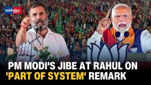 WATCH: PM Modi Bashes Rahul Gandhi Over His 