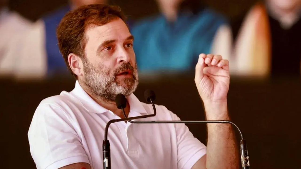 'Garmee hai kaafi': Rahul swelters under intense heat while delivering speech