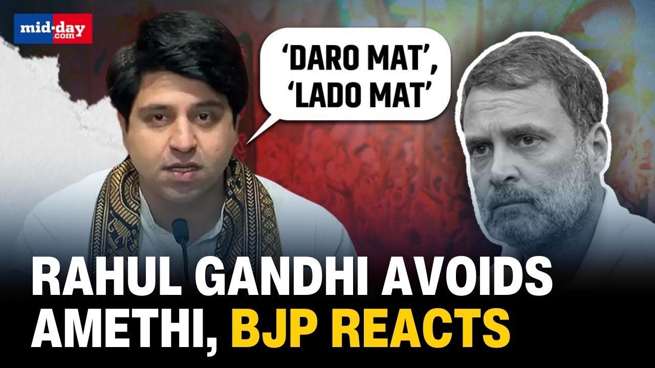 Lok Sabha Elections 2024: BJP reacts to Rahul's candidature from Rae Bareli