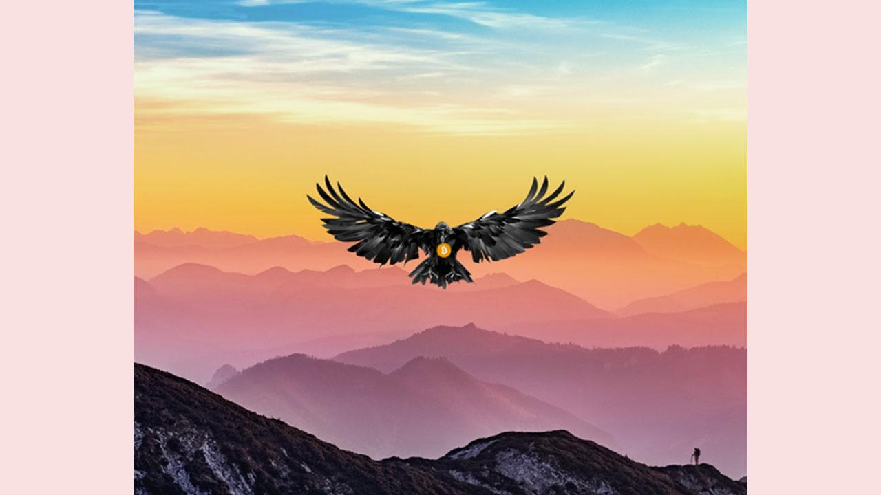 Crypto Raven: Rising to be one of the most sought-after names in the crypto world.