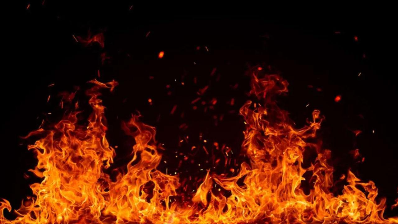 Seven hurt in factory fire in Delhi's Bawana: Police
