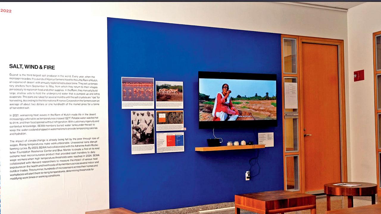 The exhibit’s video shows the manual, seasonal process of harvesting salt from subsoil brine, with flamingos marking the switch shift from diesel engines to quieter, cleaner solar-powered engines, displayed nearby. India’s move to clean energy requires investments in green technologies. SEWA’s salt pan workers’ transformation illustrates sustainable methods, inspiring positive change