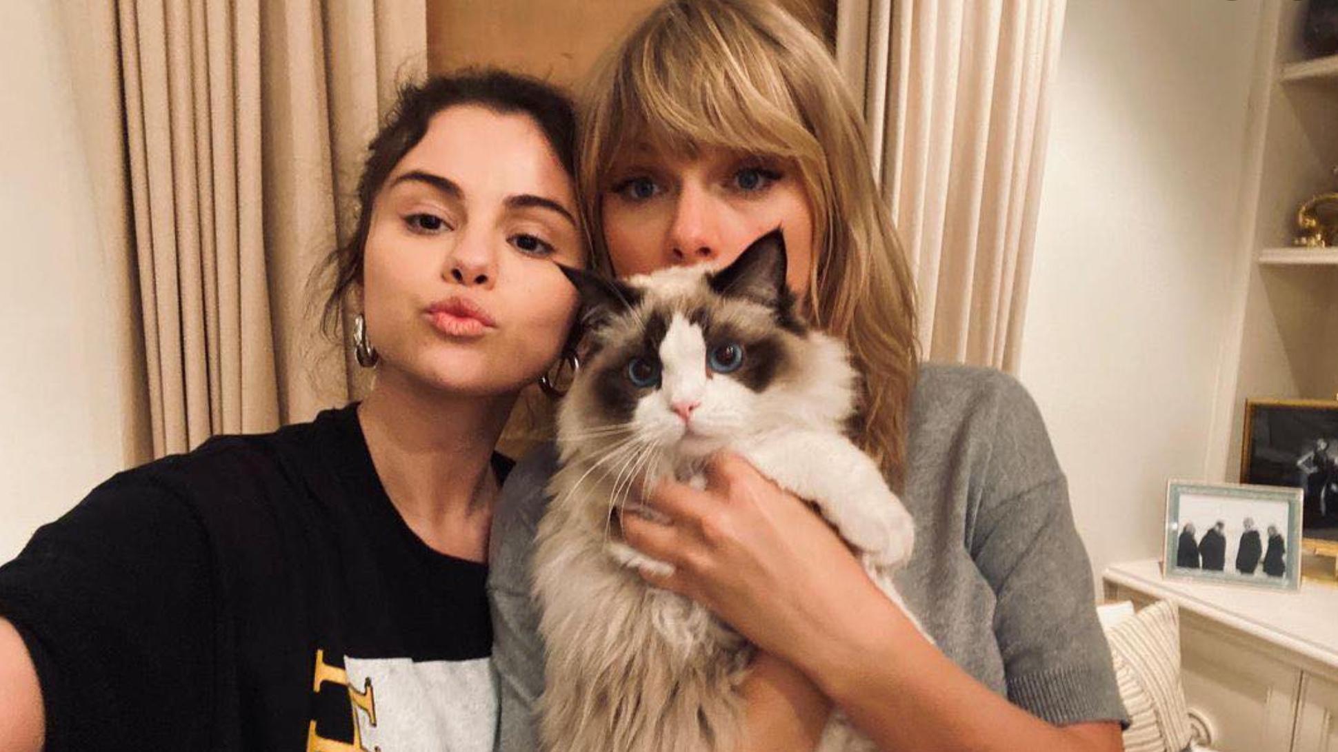 Taylor Swift is a proud mama to 3 healthy cats: Olivia, Meredith Grey and Benjamin