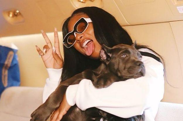 Meghan Thee Stallion has three French bulldogs: 4oe, Dos and Oenita; one Pit Bull named 5ive; and merle dog named Six; and Cane Corso named X!