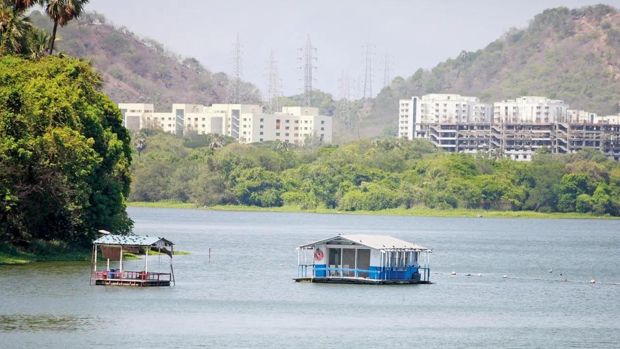 Mumbai: BMC halts hyacinth removal from Powai lake to protect bird nests