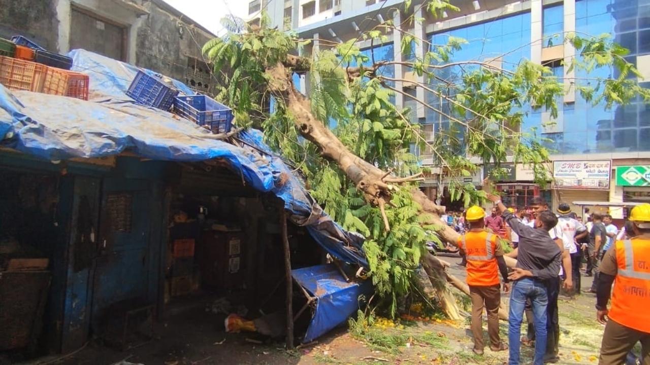 Upon receiving the information the officials of the Thane Fire Brigade, civic officials and the officials of the Regional Disaster Management Cell (RDMC) of the Thane Municipal Corporation (TMC) rushed to the spot and launched a rescue and relief operation