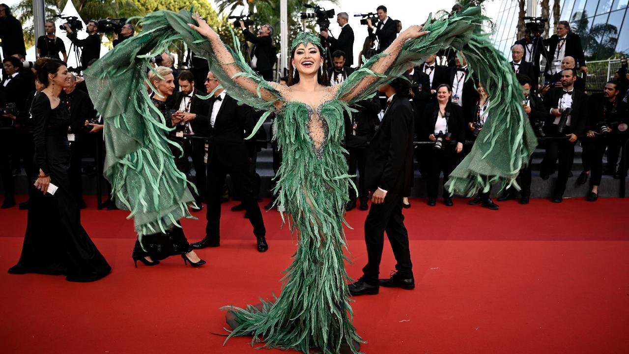Cannes Rewind Urvashi Rautela to Shanina Shaik, here are 11 most sizzling red carpet looks