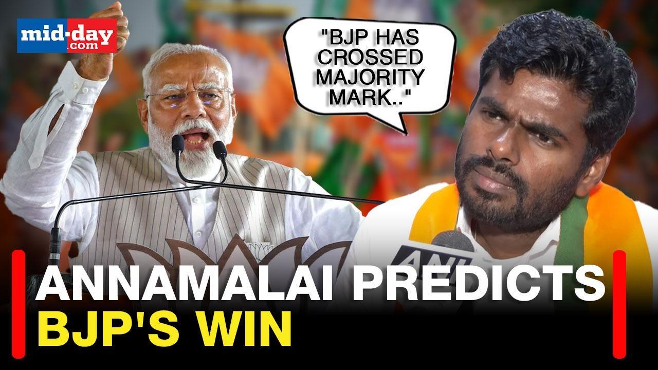 LS Polls 2024: K Annamalai Sure Of BJP's Win, Praises PM Modi's Work