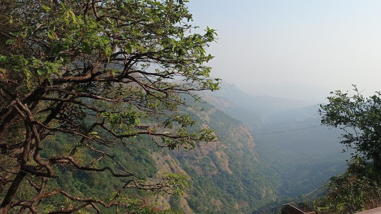 While travelling in the toy train, one will also be able to see picturesque valleys. 