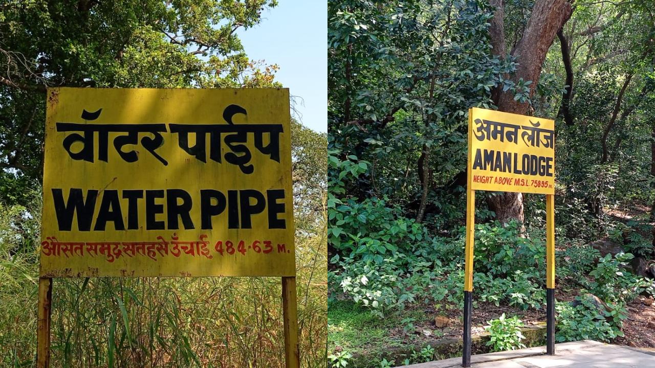 There are three stops or stations enroute - Jummapatti, Water Pipe and Aman Lodge.