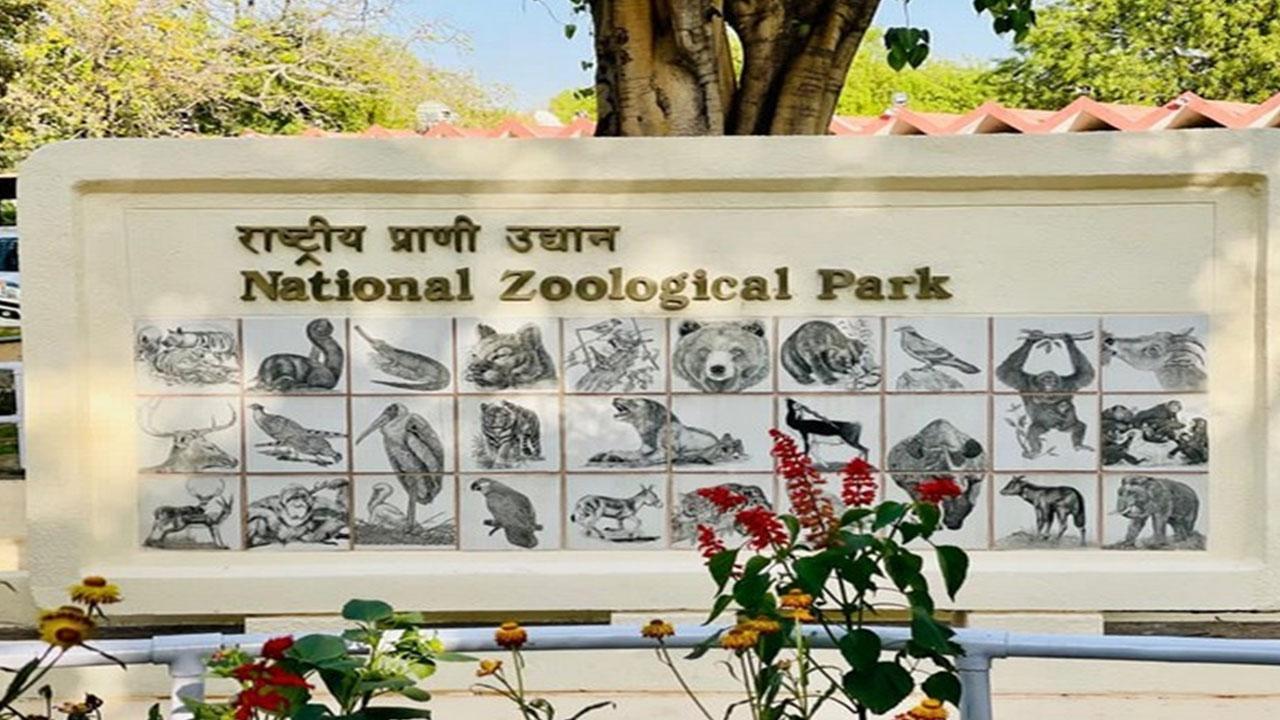 Delhi zoo Delhi zoo